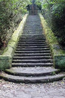 iphone  background wallpaper