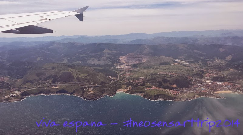 Ringkissen Passend Zum Hochzeitsmotto Rabeerchen