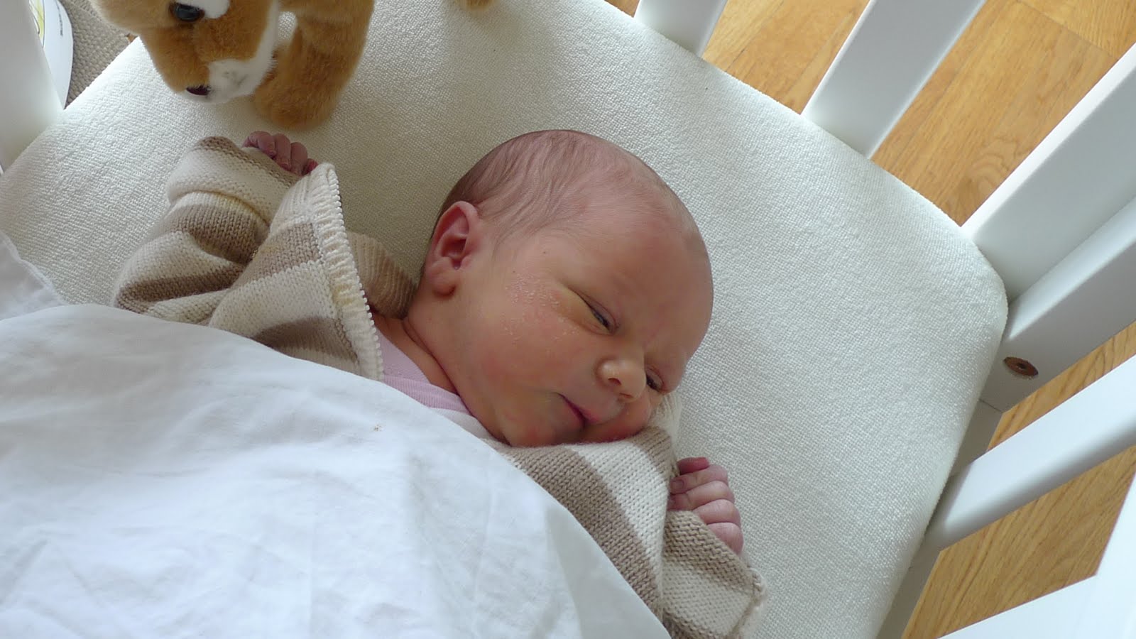 Arctic Mum Blog A Brand New Baby in the House