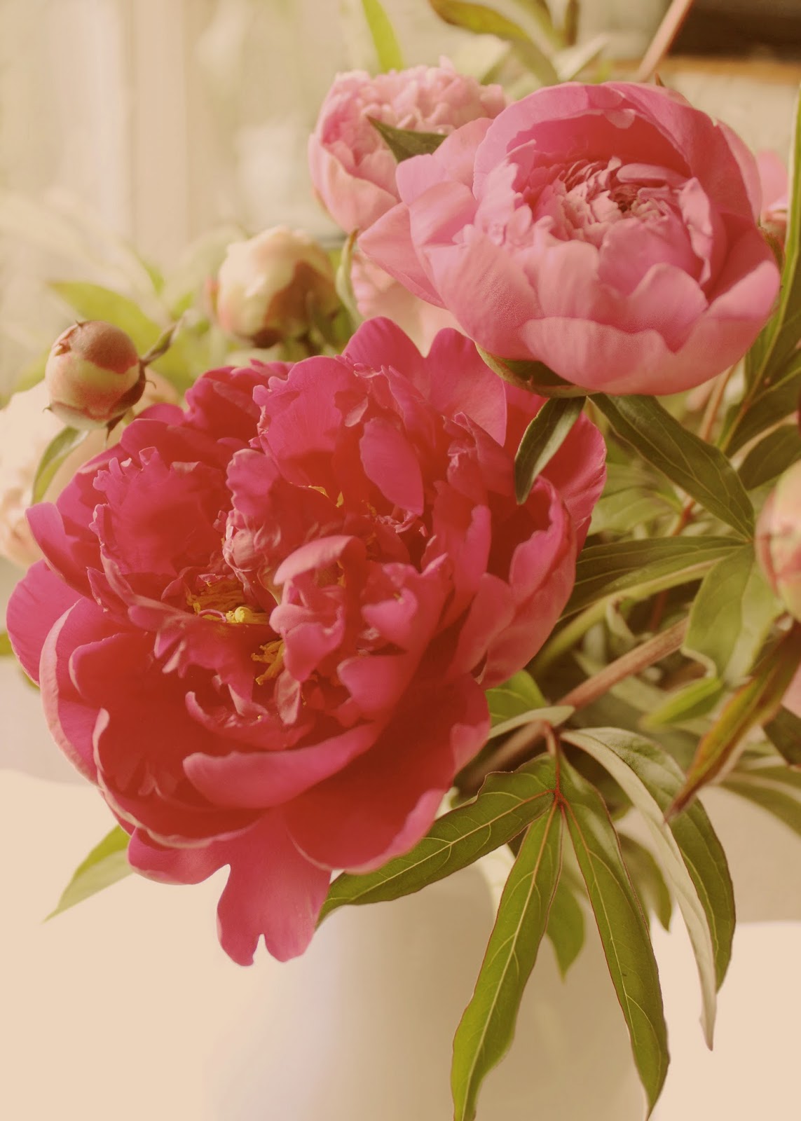 tarino bambino Birthday Peonies