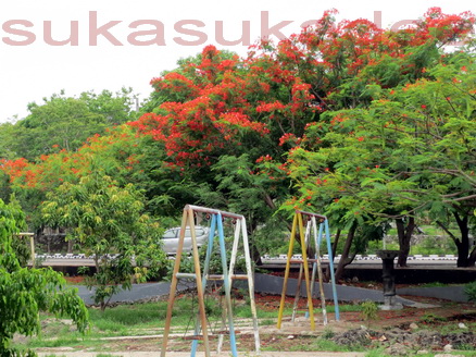 Wisata Di Kota Kupang Sukasukadee