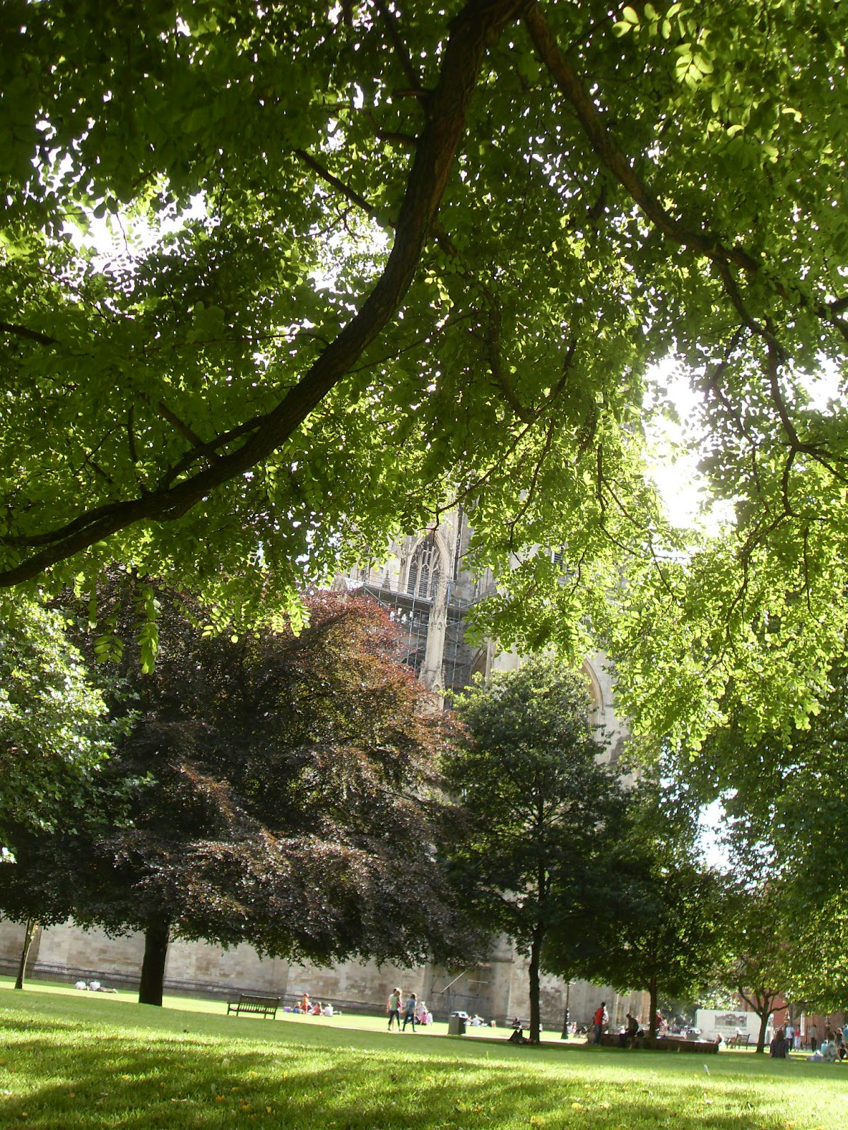 My Albion Under the Greenwood Tree