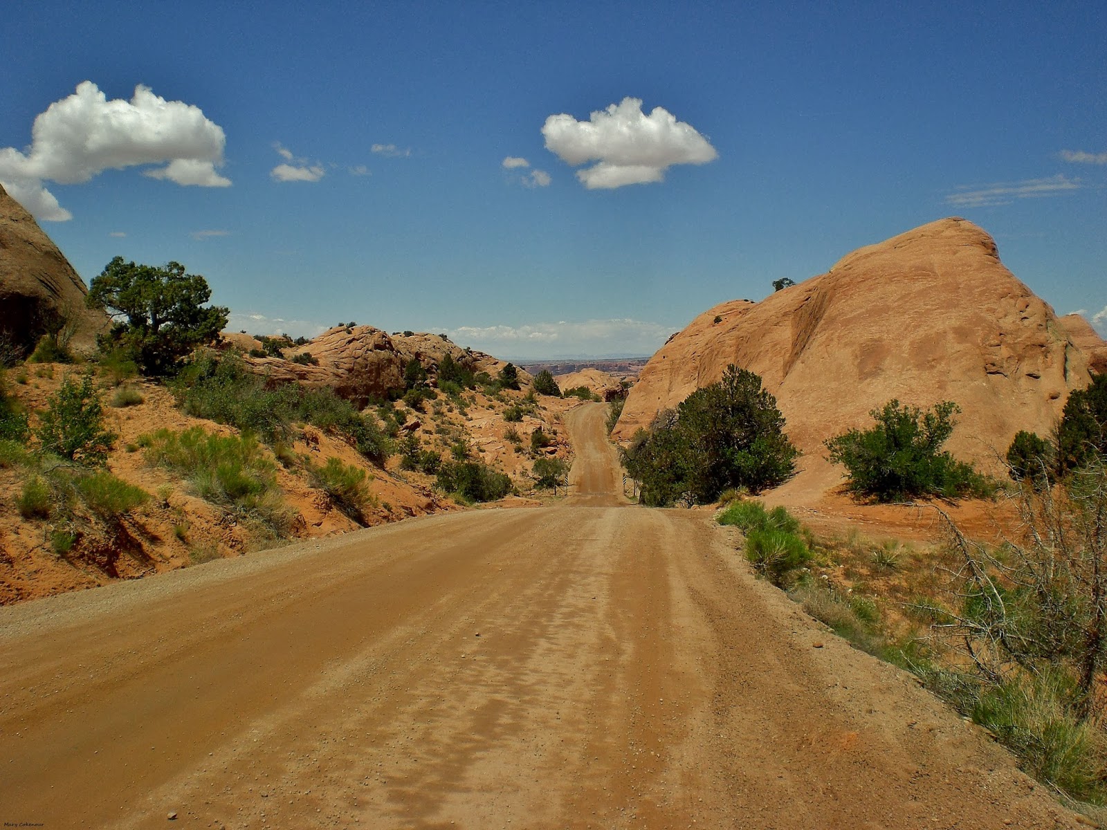The Southwest Through Wide Brown Eyes Only Thing Flat in Sand Flats is
