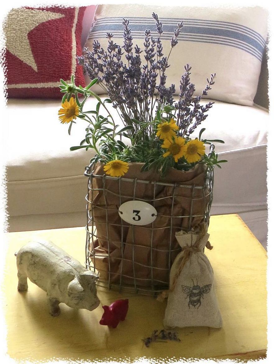 Art and Sand at a snail's pace