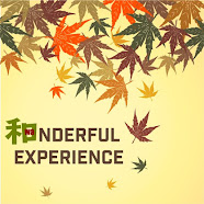 和nderful Experince