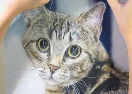 Drawing - Tabby Cat