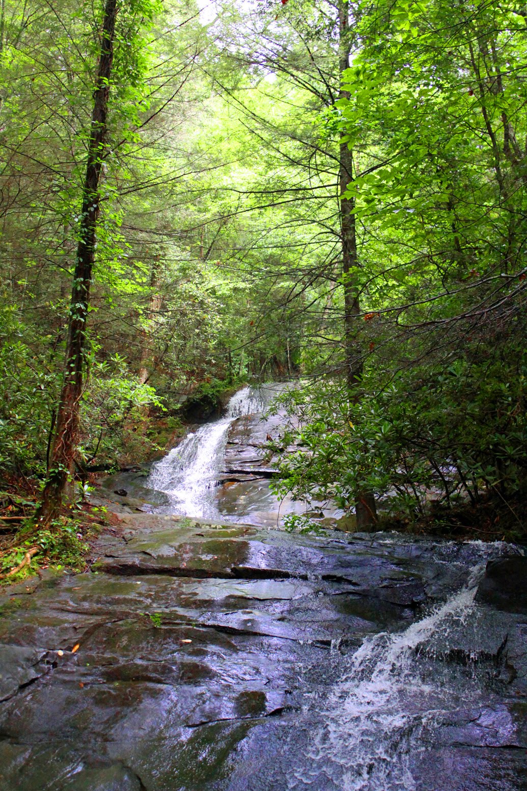Southern Lagniappe Fall Branch Falls, Blue Ridge,