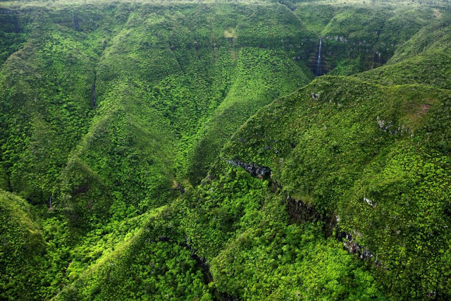 Black River George Nationalpark Mauritius