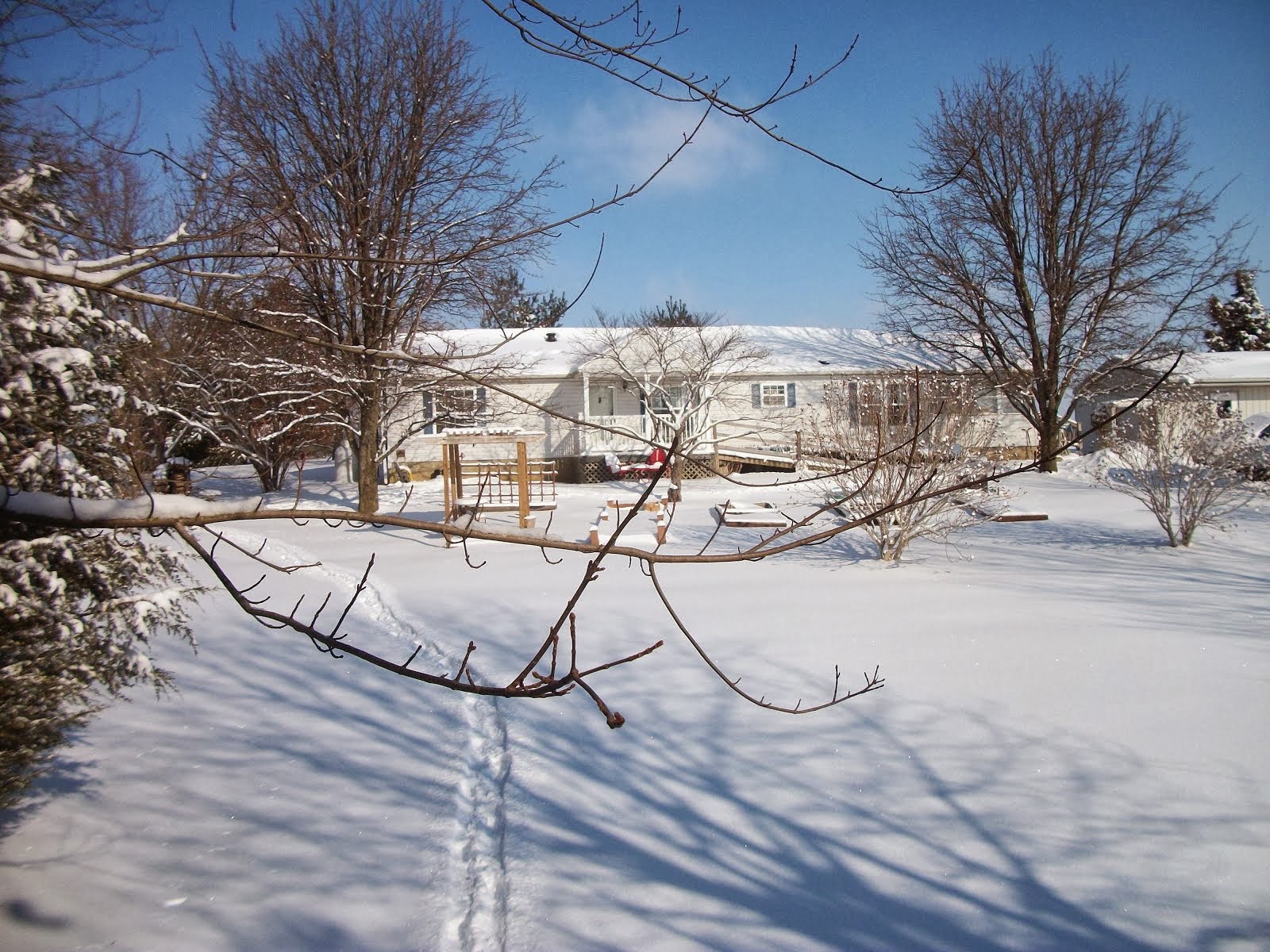 Winter Homestead