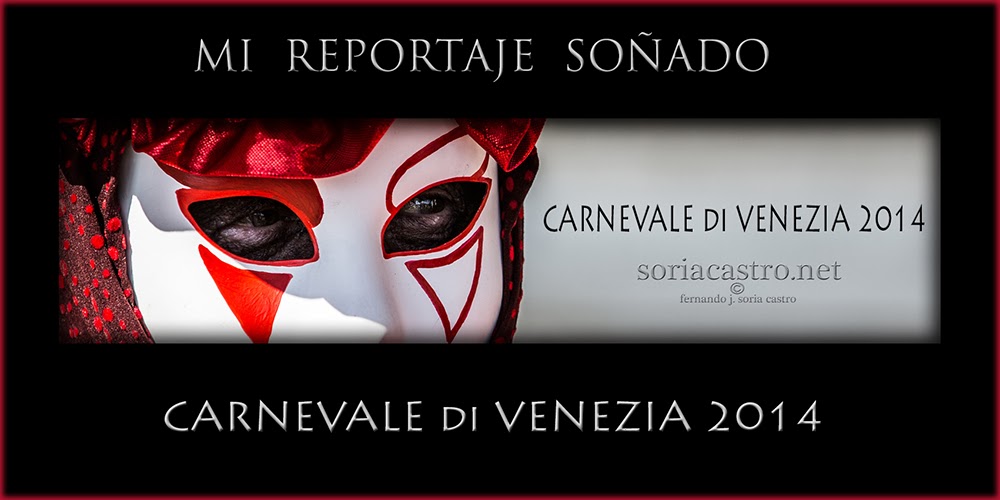 CARNEVALE di VENEZIA 2014