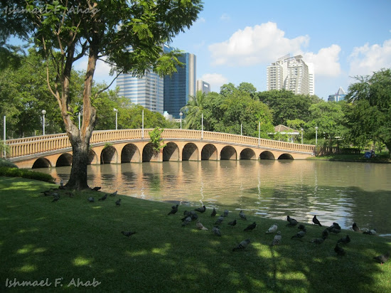 Bridge of Chatuchak Park