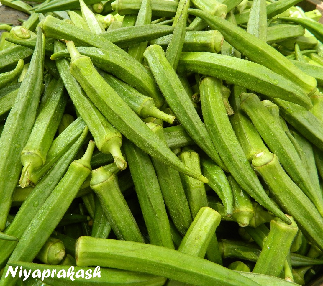 Niya's World Photos of Fresh Vegetables Our neighborhood store, Chennai