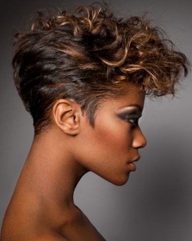 Short Black Curly Haircut 2014 Short Hairstyles 2014