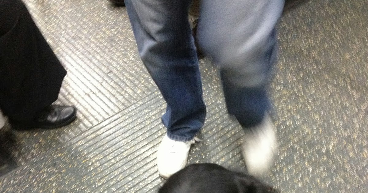 Dogs Allowed Tales Dogs on the London Underground