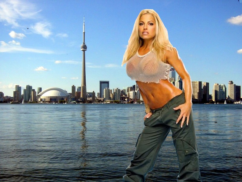 Watch Bail Enforcers Download Full Watch Bail Enforcers Download Full