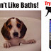 Δεν αρέσει στον σκύλο σας το μπάνιο;
