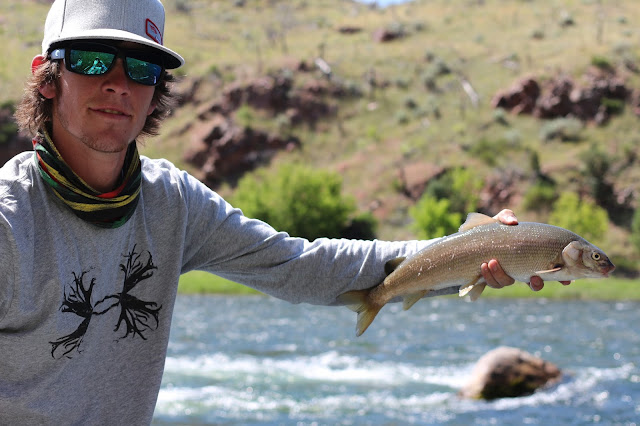 Flyfishing%2Bthe%2BGreen%2BRiver%2Bin%2BJune%2Bwith%2BJay%2BScott%2BOutdoors%2B20.JPG