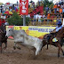 Región Orinoquía