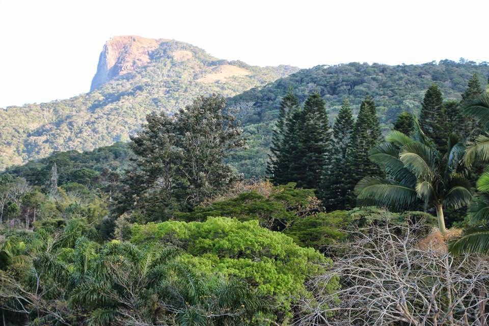 Pedra Branca,Sao Jose,SC