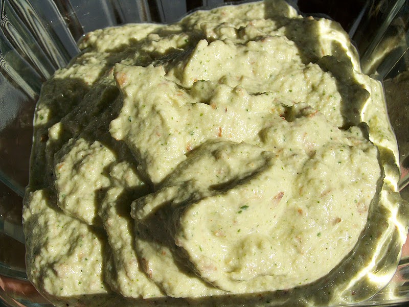 Bean Free, Oil Free Raw Hummus