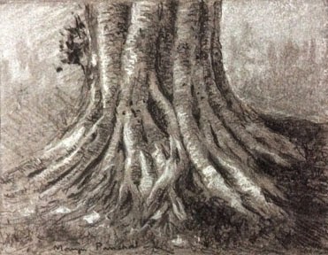 Charcoal and white soft pastel sketching of exposed roots of a tree by Manju Panchal