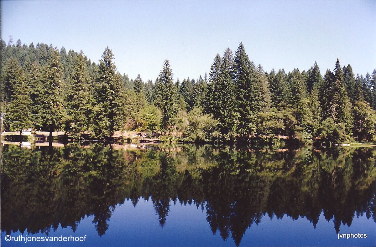 Photos Taken by Ruth Jones Vanderhoof. (My Mother) Leaburg Dam, Oregon