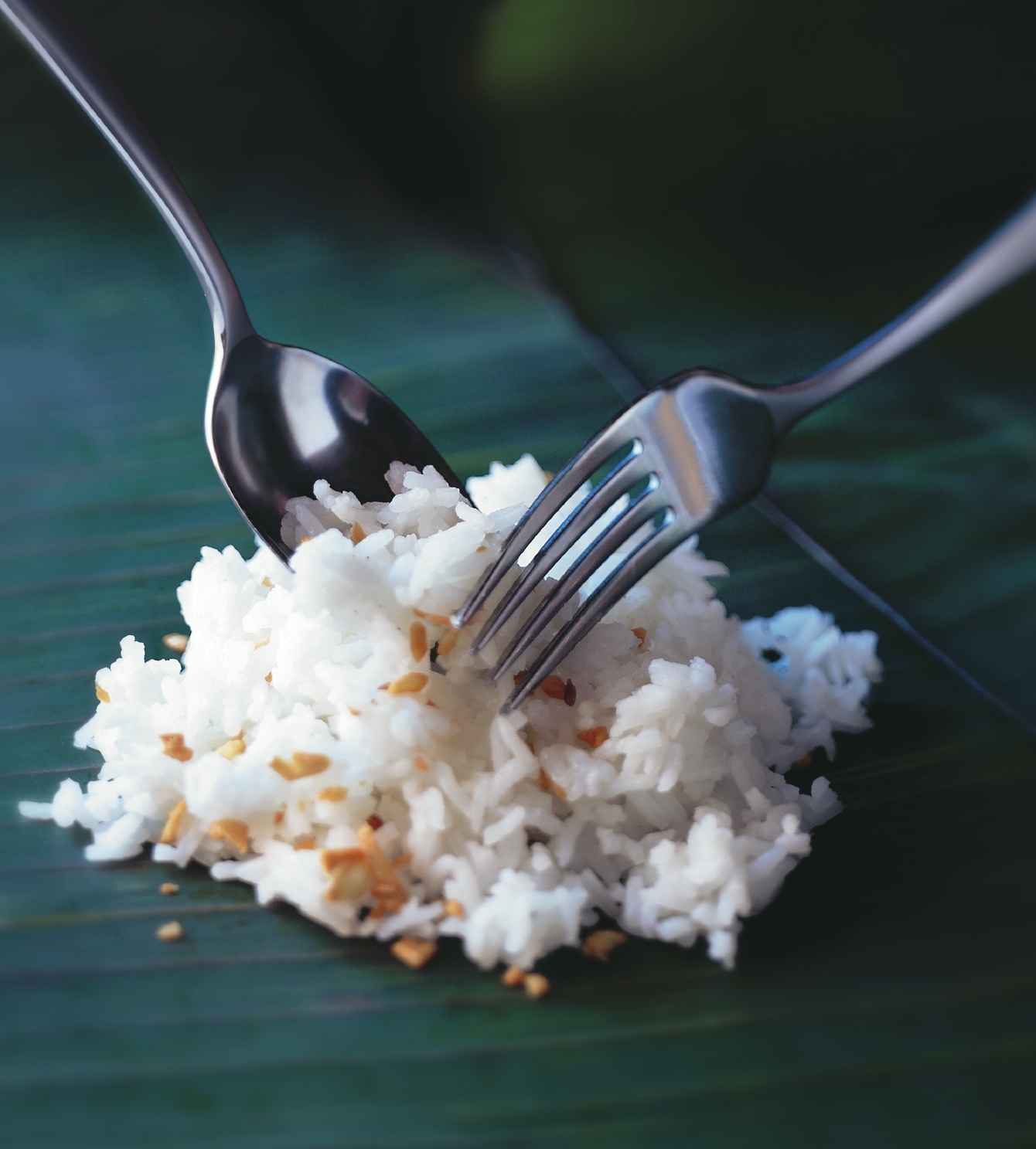 Extra Rice Please! Filipino Culture by The Pinoy Warrior