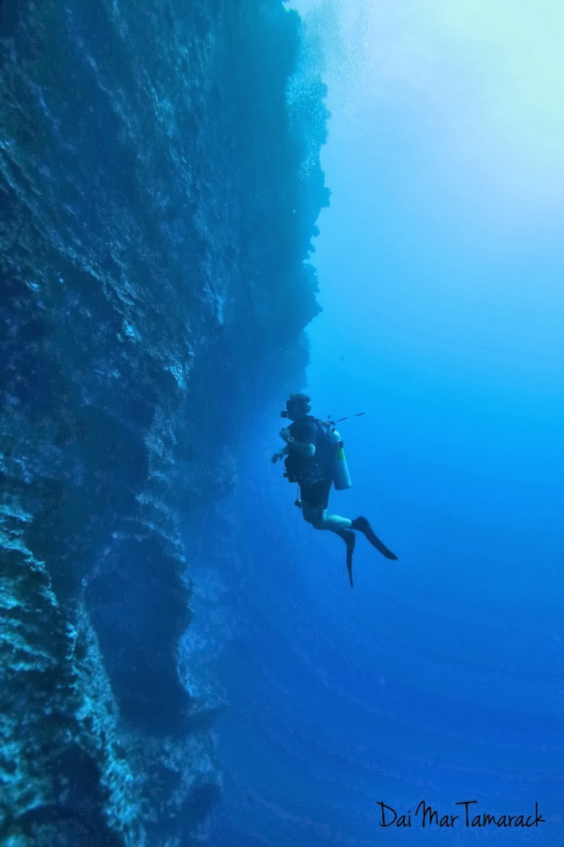Capturing the Moment Double Back Wall Molokini Deep Dive