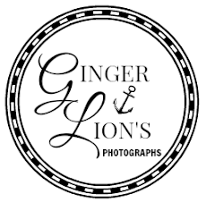 Gingerlion's Photographs