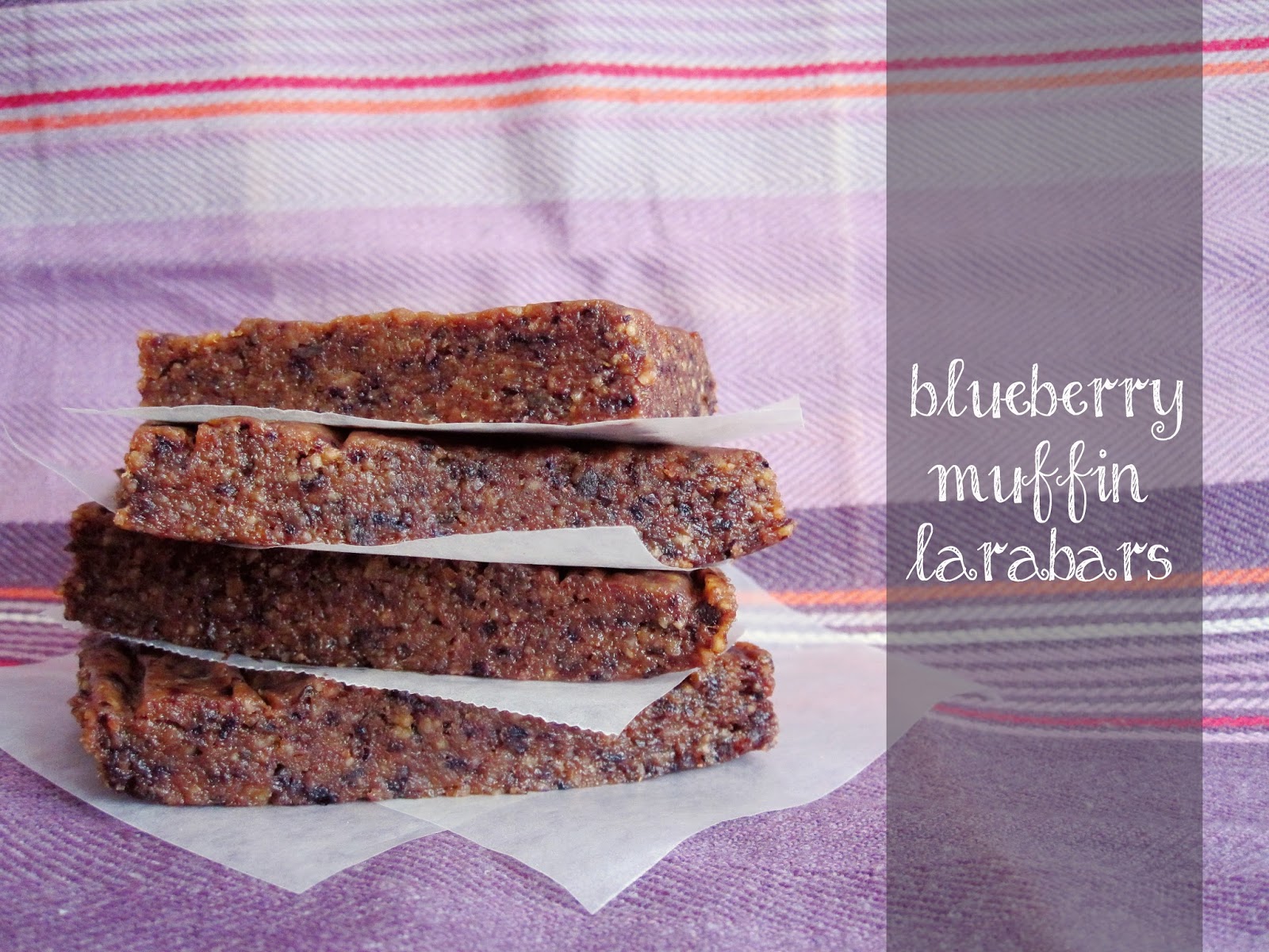 MyCraftAffair blueberry muffin larabars
