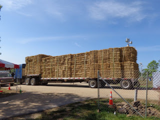 So much hay!