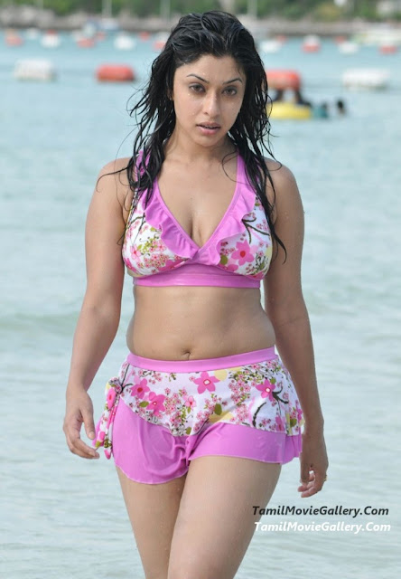 payal ghosh harika telugu actress hot sexy bikini pics photos