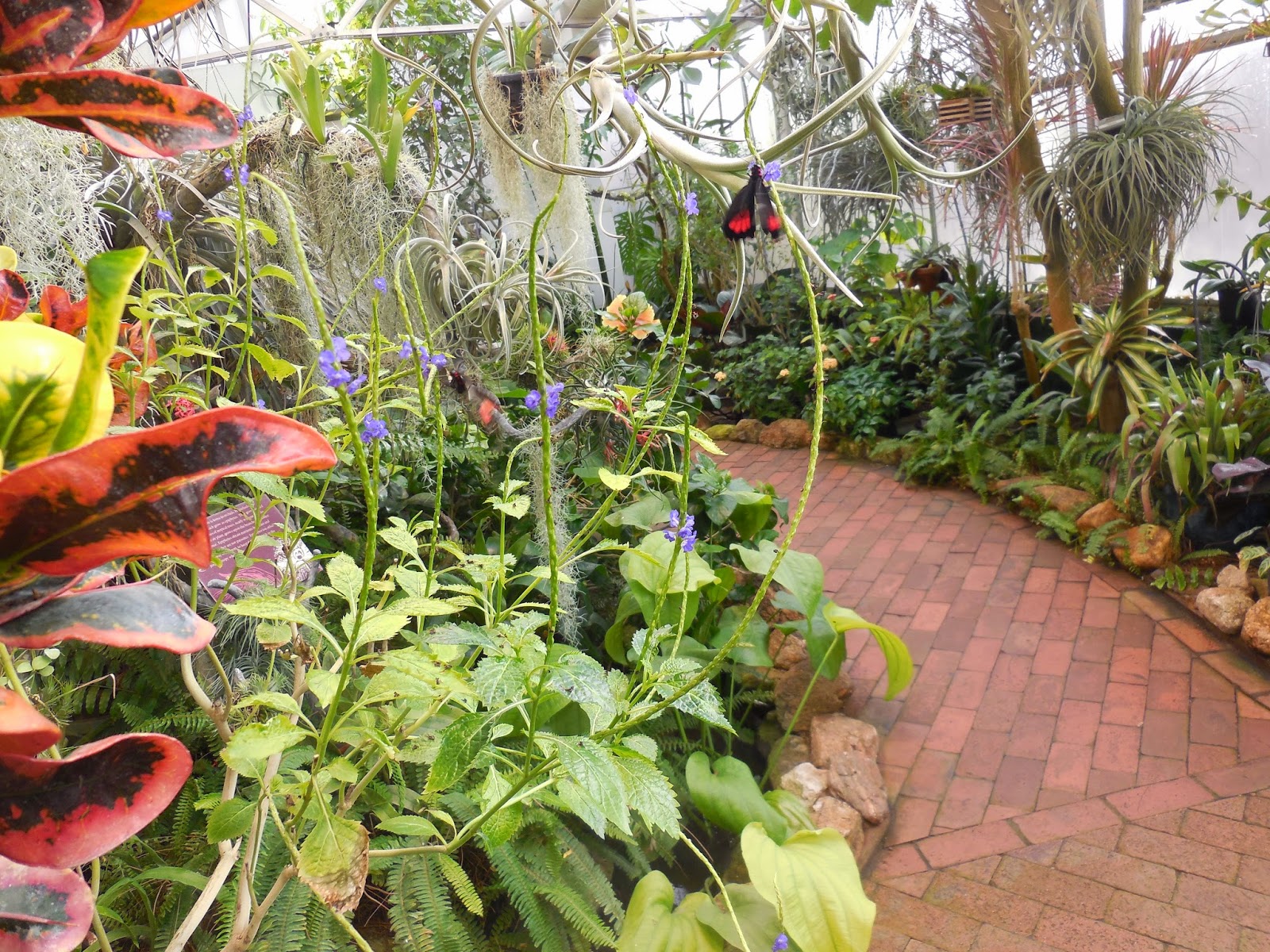 Exploring the American West Tucson Botanical Gardens January and