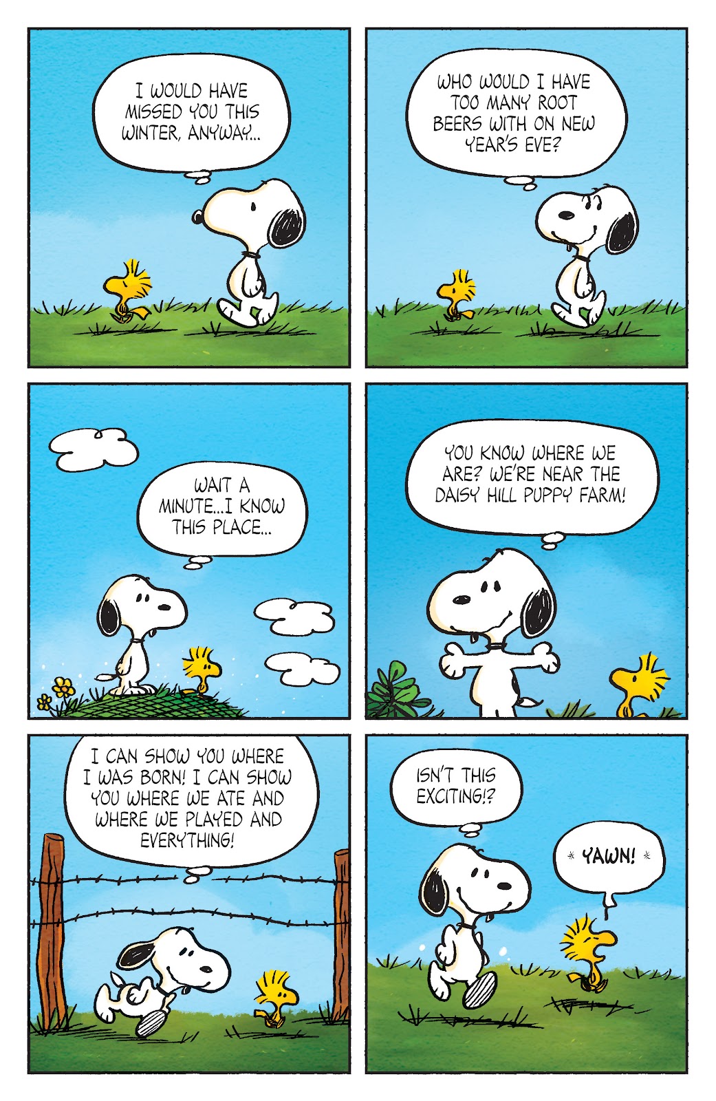 Comic Peanuts Friends Forever 16 Special Issue 1