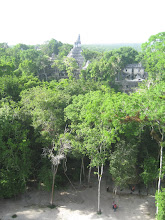 The Maya ruins in Tikal