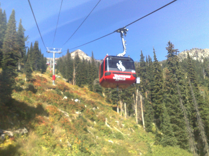 the gondola jackson hole