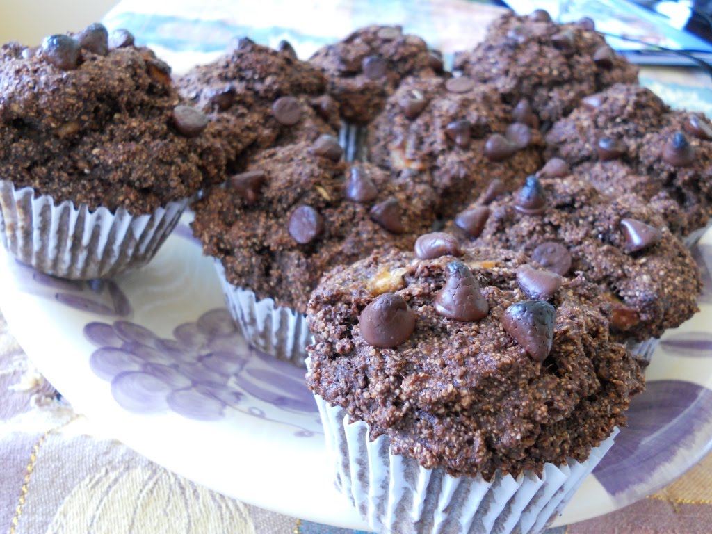 Snacking Squirrel Chocolate Mud Muffins