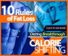 Fat Loss For Idiots