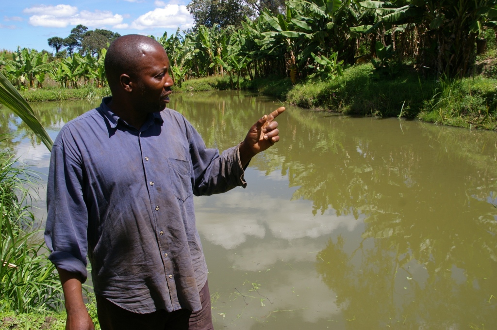 Uchimbaji wa bwawa la samaki image