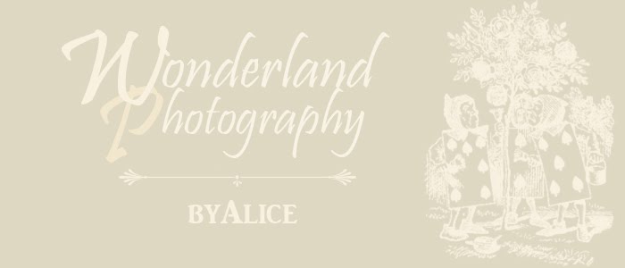 Wonderland Photography by Alice