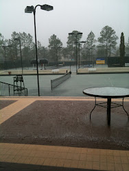 Rain in Lutz, FL