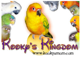 Kooky's Kingdom