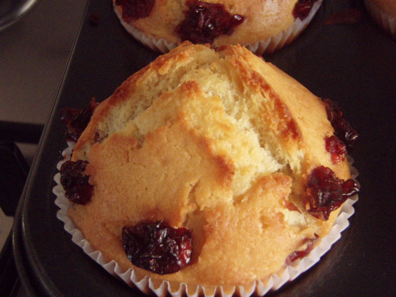[Canberry+Muffin+291107+039.jpg]