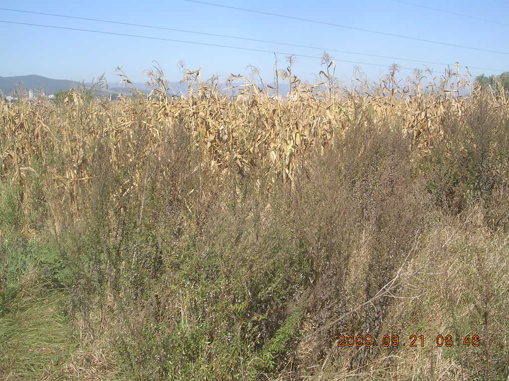[DSCN5821.JPG]