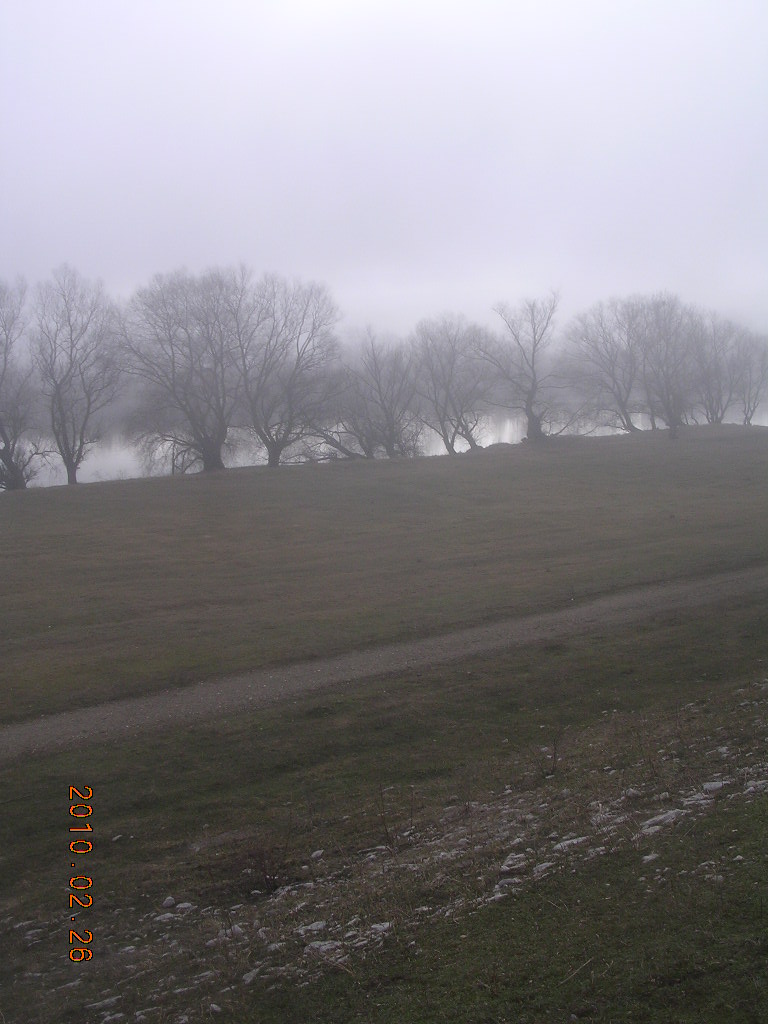 [DSCN7837.JPG]
