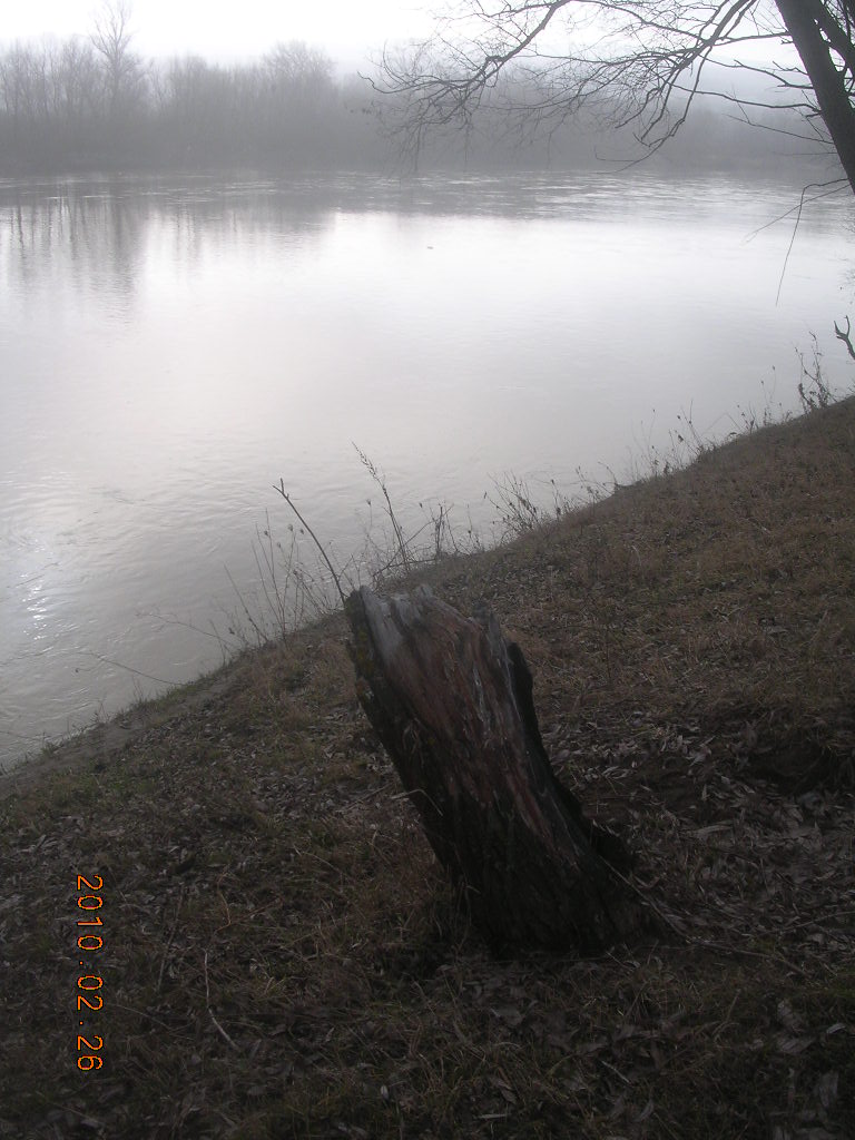 [DSCN7838.JPG]