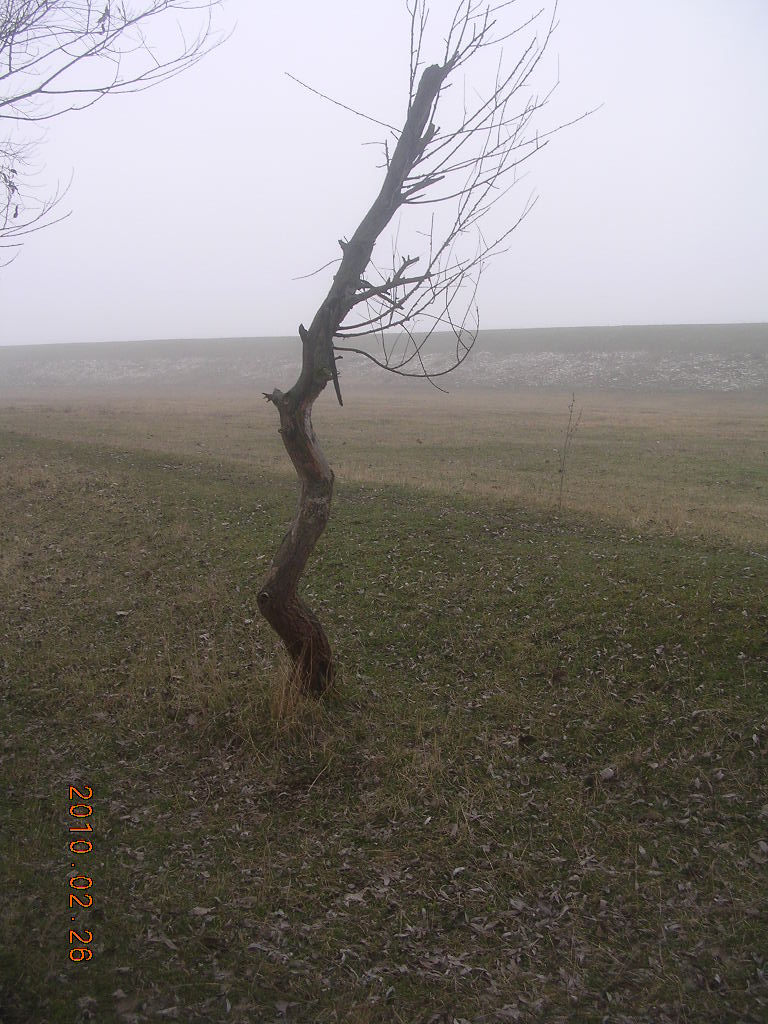 [DSCN7842.JPG]