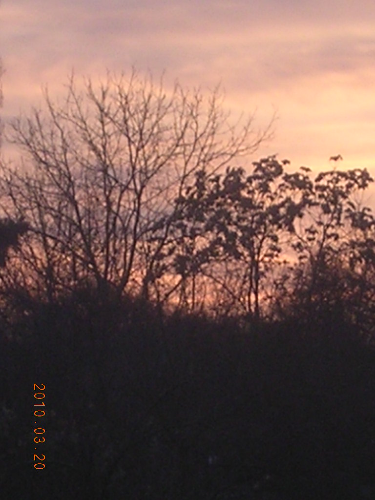 [DSCN7894.JPG]