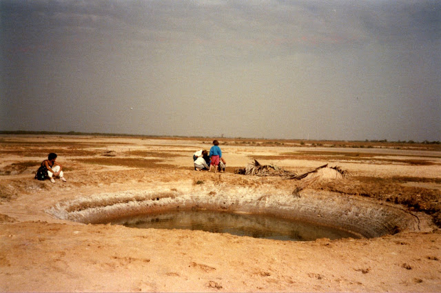 Les salins du Saloum