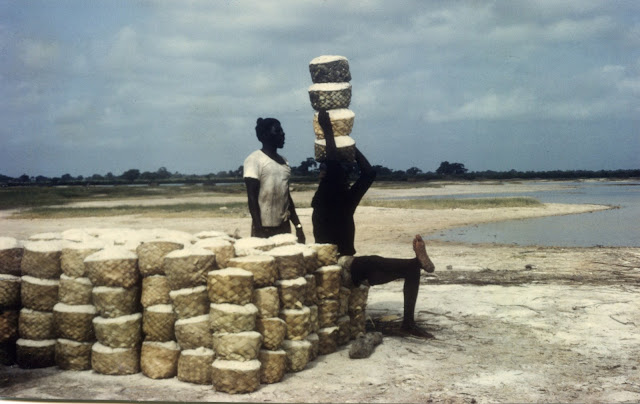 Les salins du Saloum